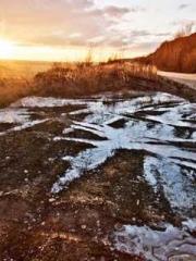 The Best Little Body