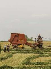 Qi is thin, but I be Qi is thin, but I be