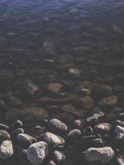 Grave Robbing: Openi