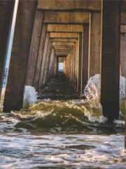 I have seven fairy g