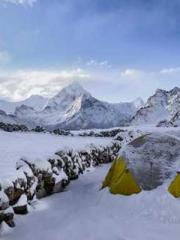 One Pregnancy, Two B