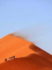 lt;lt;lt;Visionary S