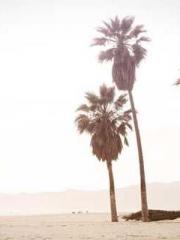 The Taoist nun was f