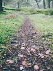 Transmigration: Feel Transmigration: Feel