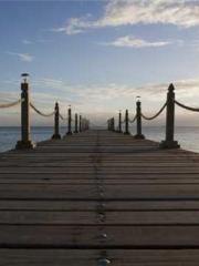 lt;Gingerly, Shen Qi