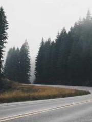 King of the Nine Pro