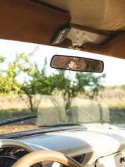 Wine, sex, money and