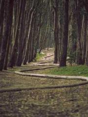 lt;Nineth Uncle, you