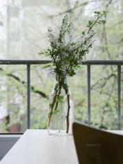 lt;lt;lt;Lin Feng Li