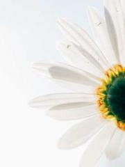 Shocking! This prota