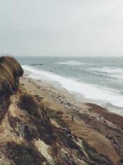 lt;lt;The Heavenly D lt;lt;The Heavenly D