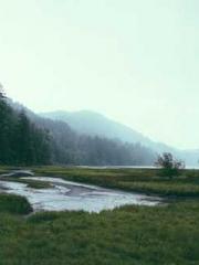 Bones-Eating Marriag