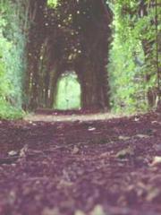 Wine, sex, money and