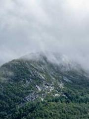 The Imperial Concubi