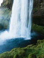 A Spicy Wife from th