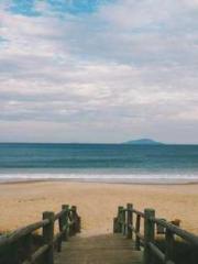 Dangerously Close to