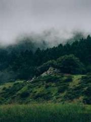 Cold-hearted Inkapos