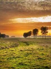 lt;lt;lt;lt;Yearning