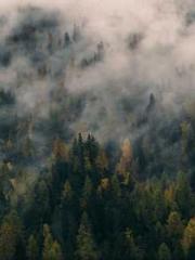 My whole family eave