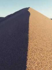 Bodhisattva of Compa