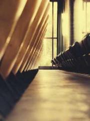 Lin Feng, Lin Yun, a