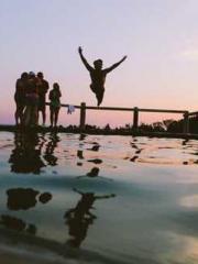 My pets are all amaz