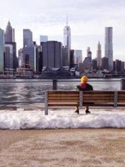 The Hardships of a D