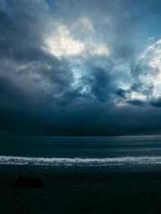 One Night Marriage P